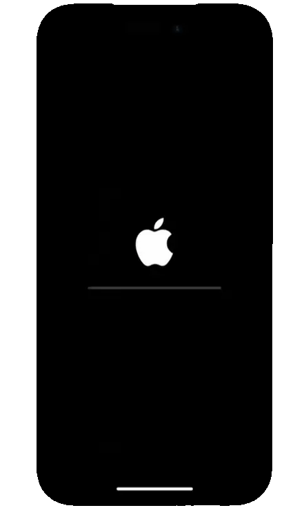 iPhone Booting & Quality Test
